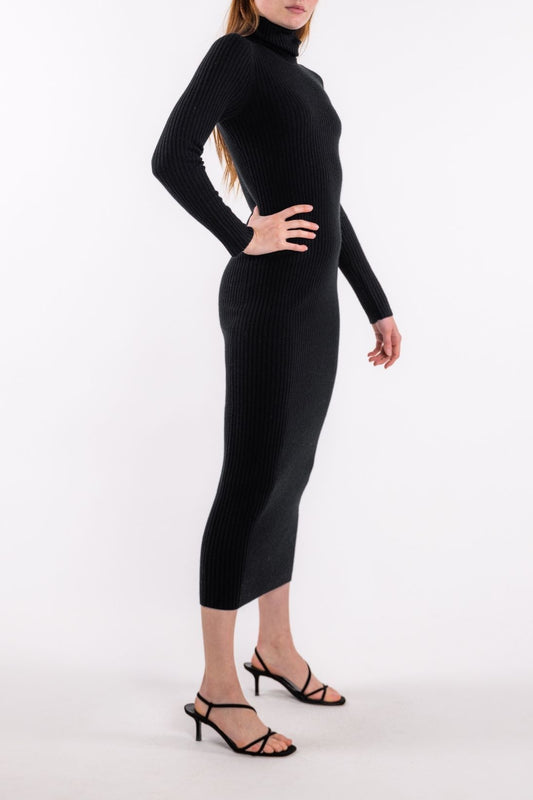 POORBOY RIB TURTLENECK DRESS