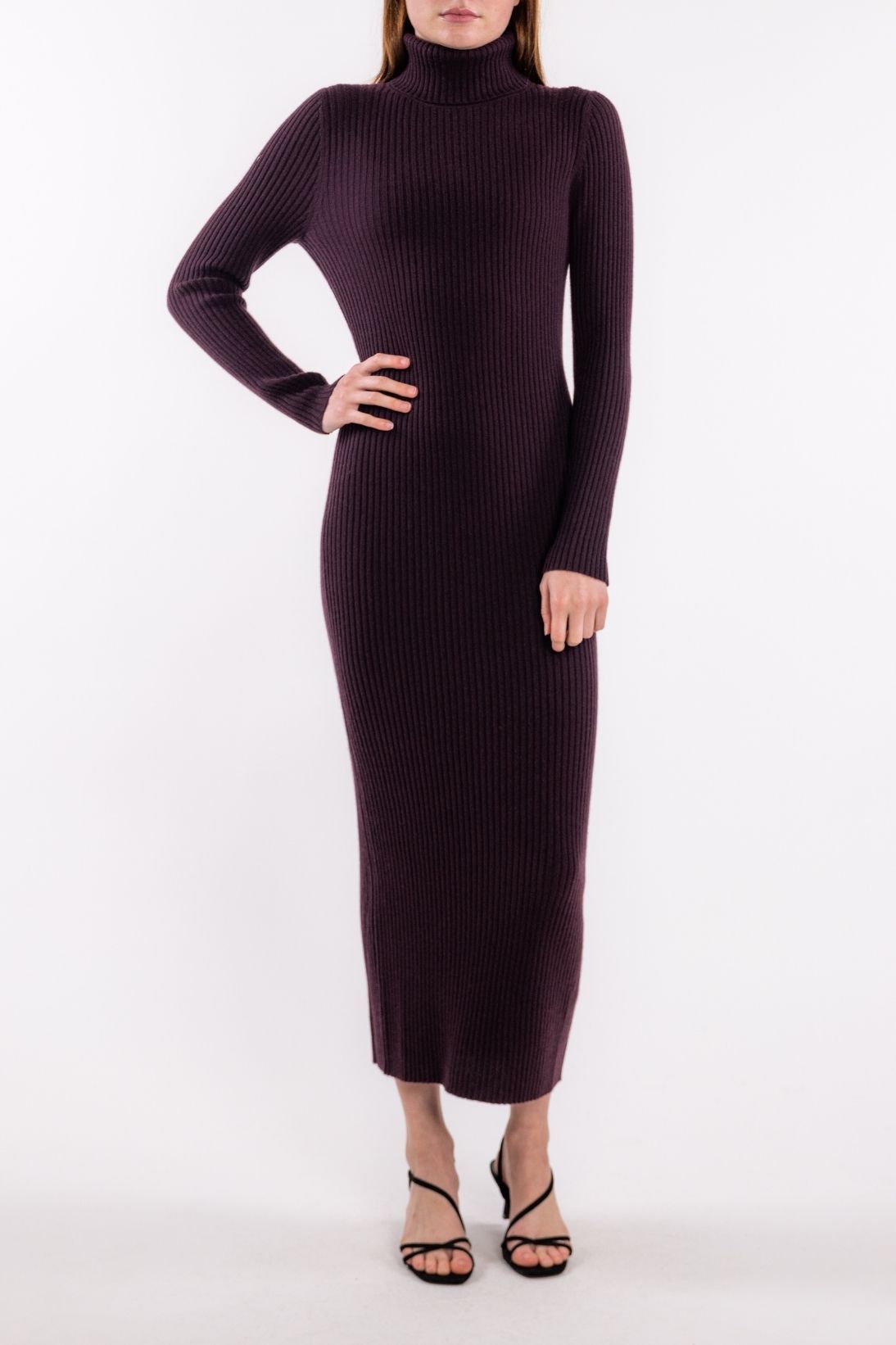 POORBOY RIB TURTLENECK DRESS