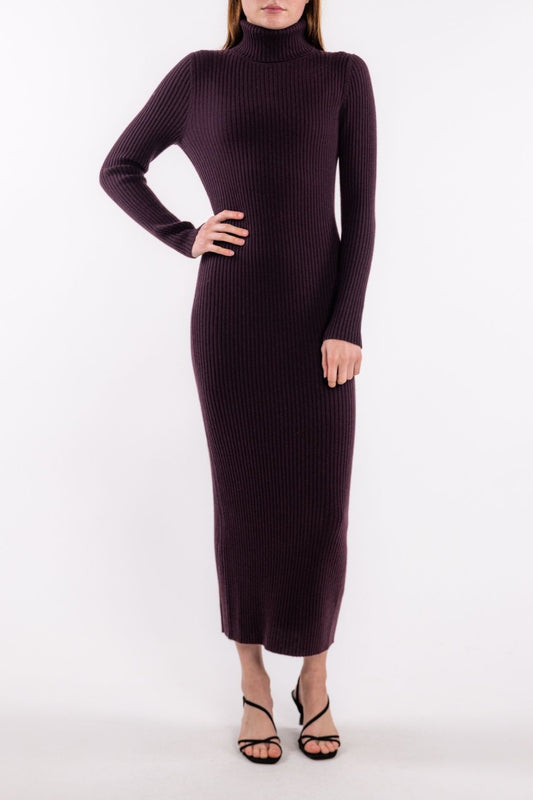 POORBOY RIB TURTLENECK DRESS