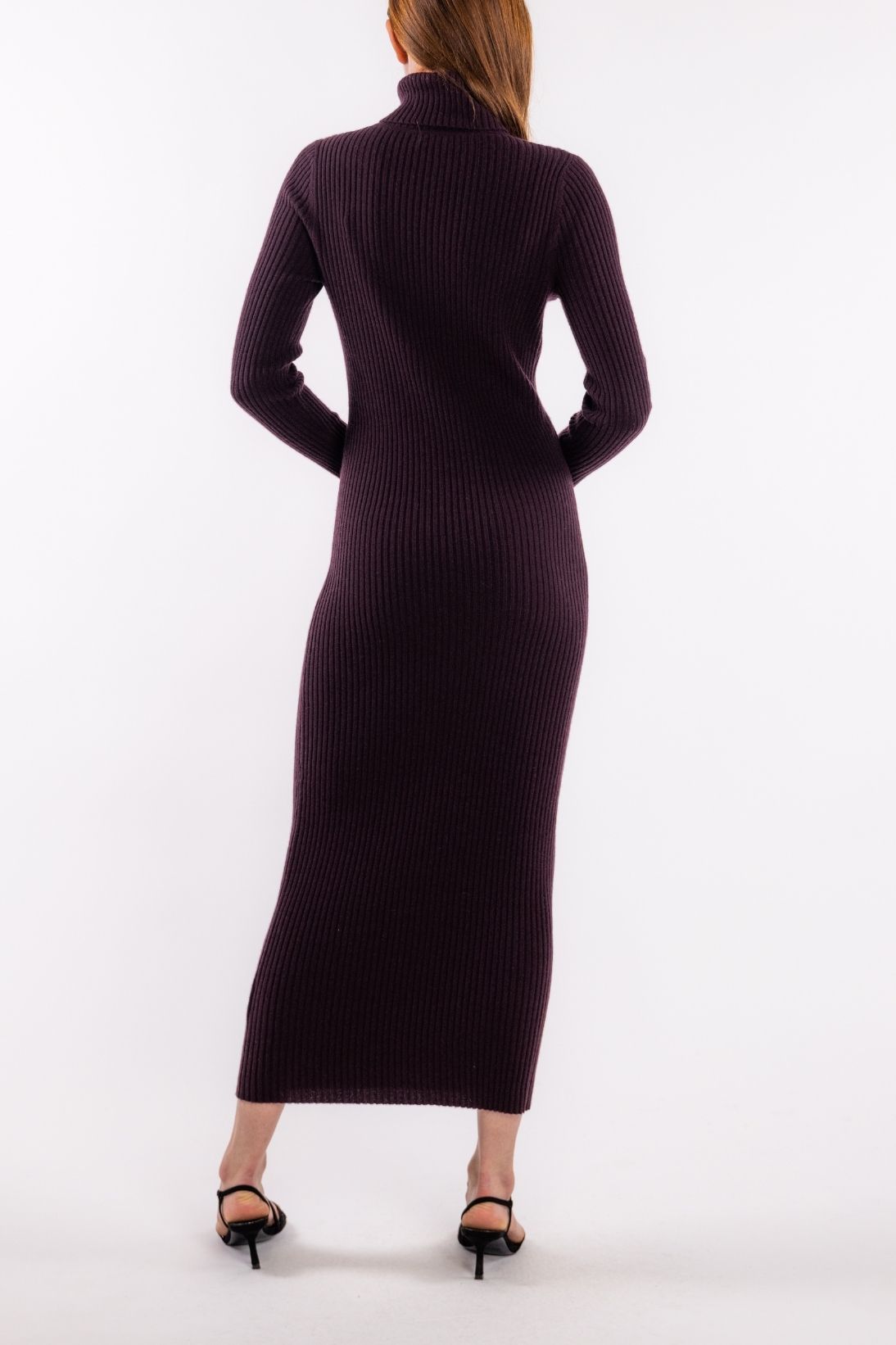 POORBOY RIB TURTLENECK DRESS