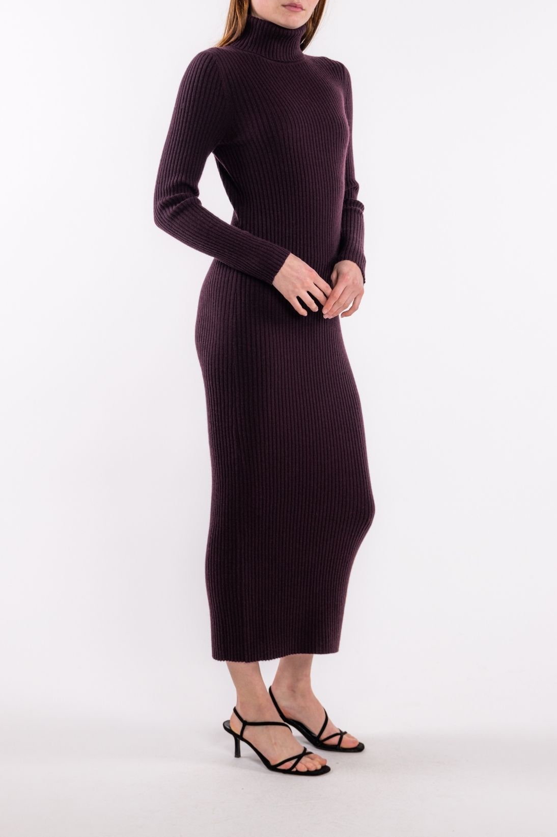 POORBOY RIB TURTLENECK DRESS
