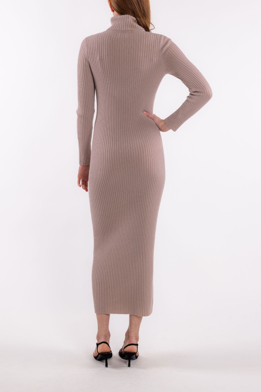 POORBOY RIB TURTLENECK DRESS