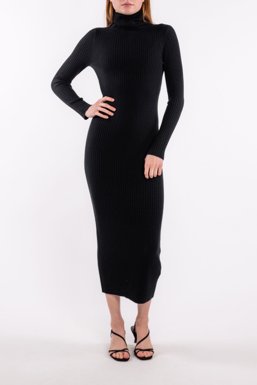 POORBOY RIB TURTLENECK DRESS