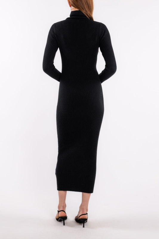 POORBOY RIB TURTLENECK DRESS